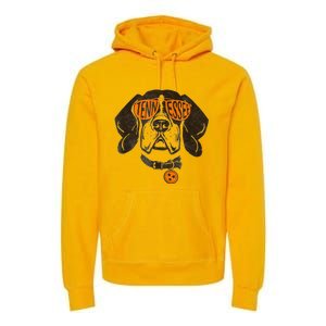 Tennessee Dog Sport Lovers | Tennessee Tri Stars Flag Premium Hoodie