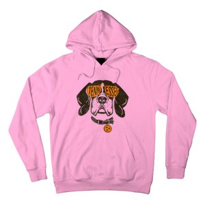 Tennessee Dog Sport Lovers | Tennessee Tri Stars Flag Hoodie