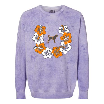 Tennessee Dog Sport Lovers Coonhound Fan Hawaii Lei Colorblast Crewneck Sweatshirt