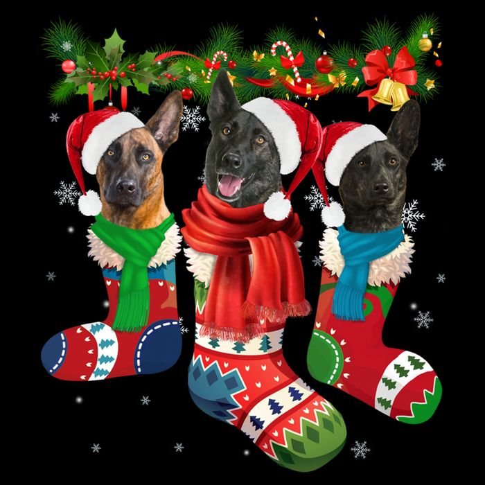 Three Dutch Shepherds In Christmas Socks City Backpack