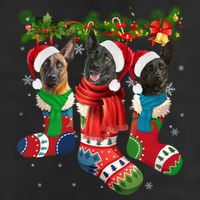 Three Dutch Shepherds In Christmas Socks Adult Drive Performance Visor