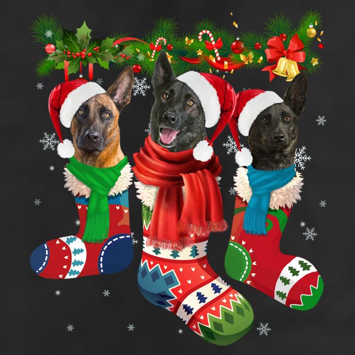 Three Dutch Shepherds In Christmas Socks Adult Drive Performance Visor