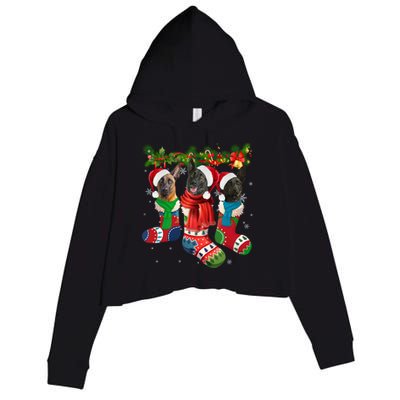 Three Dutch Shepherds In Christmas Socks Crop Fleece Hoodie