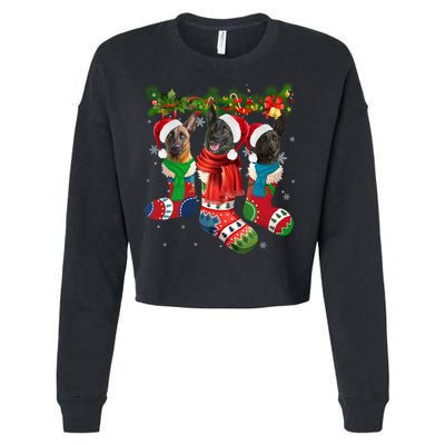 Three Dutch Shepherds In Christmas Socks Cropped Pullover Crew