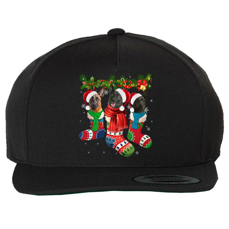 Three Dutch Shepherds In Christmas Socks Wool Snapback Cap