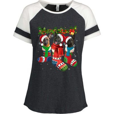 Three Dutch Shepherds In Christmas Socks Enza Ladies Jersey Colorblock Tee