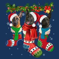 Three Dutch Shepherds In Christmas Socks Cooling Performance Crew T-Shirt