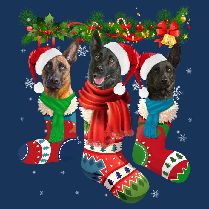 Three Dutch Shepherds In Christmas Socks Cooling Performance Crew T-Shirt