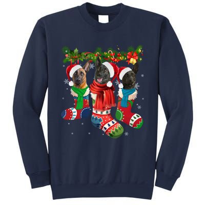 Three Dutch Shepherds In Christmas Socks Sweatshirt