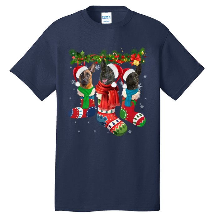 Three Dutch Shepherds In Christmas Socks Tall T-Shirt