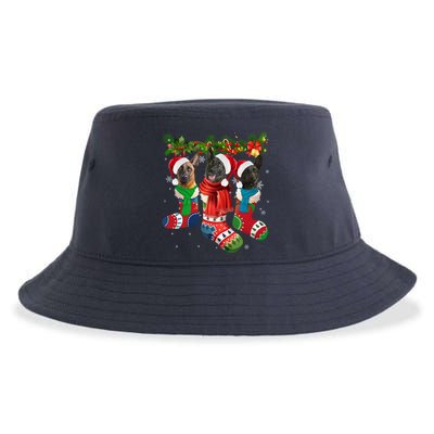 Three Dutch Shepherds In Christmas Socks Sustainable Bucket Hat