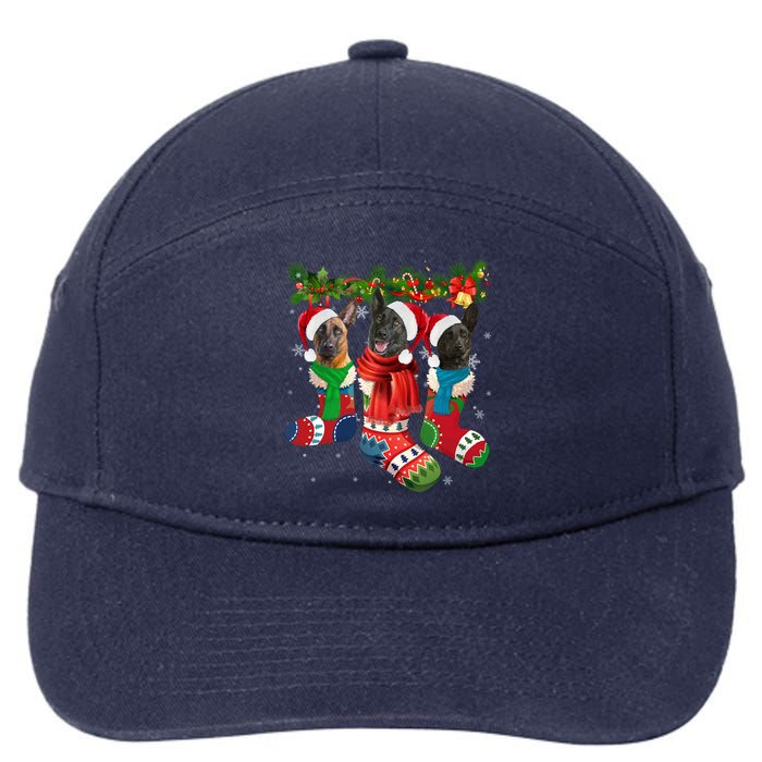 Three Dutch Shepherds In Christmas Socks 7-Panel Snapback Hat