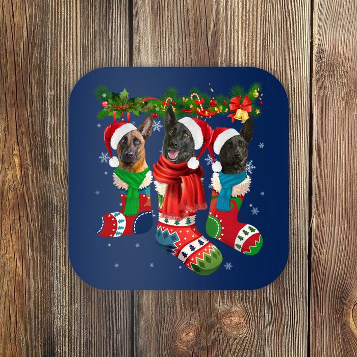 Three Dutch Shepherds In Christmas Socks Coaster