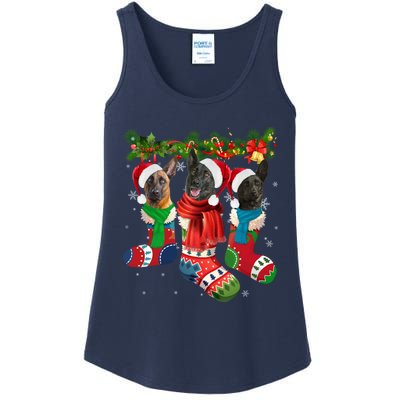 Three Dutch Shepherds In Christmas Socks Ladies Essential Tank