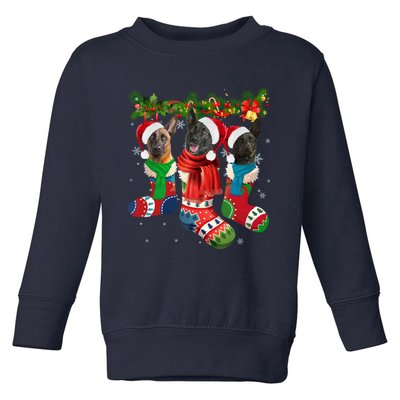 Three Dutch Shepherds In Christmas Socks Toddler Sweatshirt