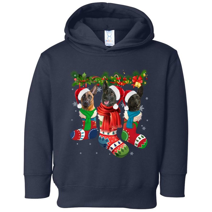 Three Dutch Shepherds In Christmas Socks Toddler Hoodie