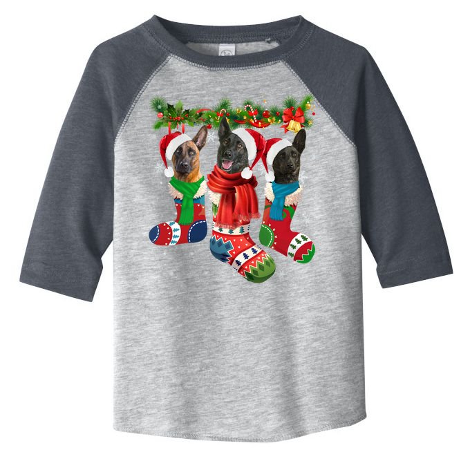 Three Dutch Shepherds In Christmas Socks Toddler Fine Jersey T-Shirt