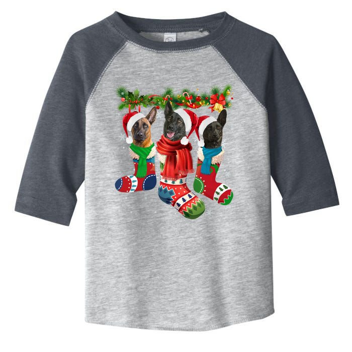 Three Dutch Shepherds In Christmas Socks Toddler Fine Jersey T-Shirt