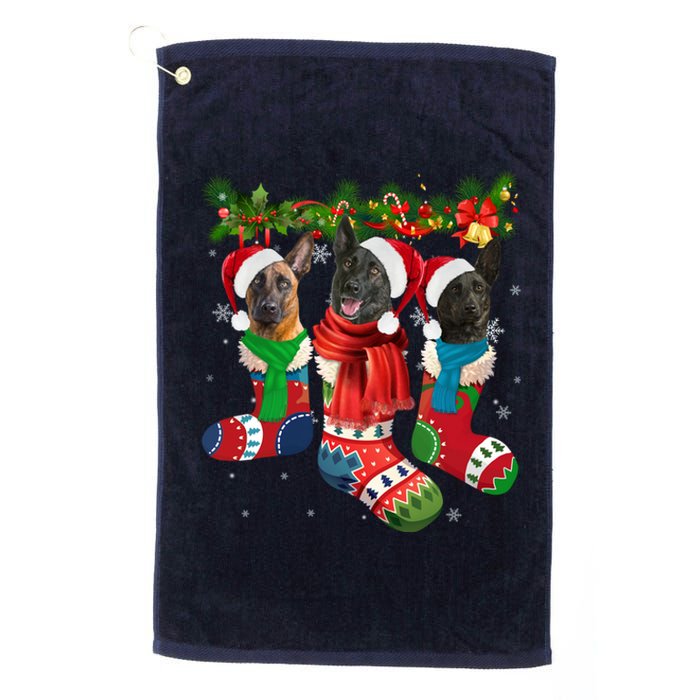 Three Dutch Shepherds In Christmas Socks Platinum Collection Golf Towel