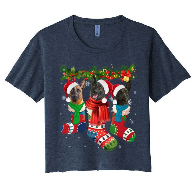Three Dutch Shepherds In Christmas Socks Crop Top