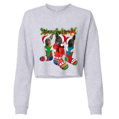 Three Dutch Shepherds In Christmas Socks Cropped Pullover Crew