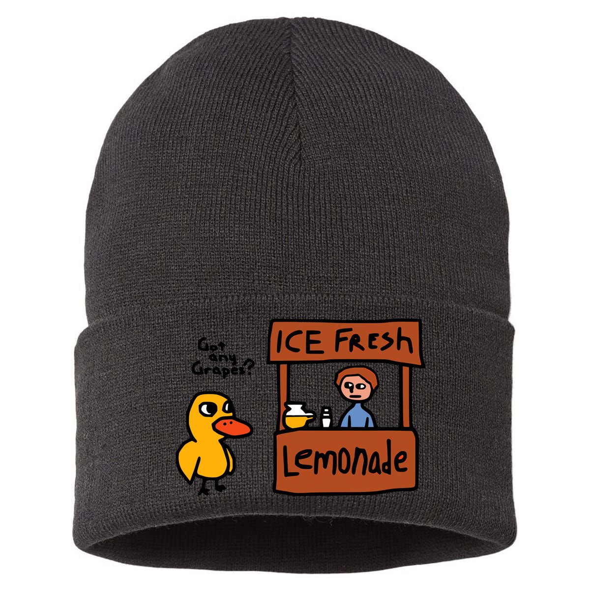 The Duck Song Got Any Grapes Funny Meme Sustainable Knit Beanie