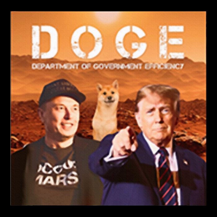 Trump Doge City Backpack