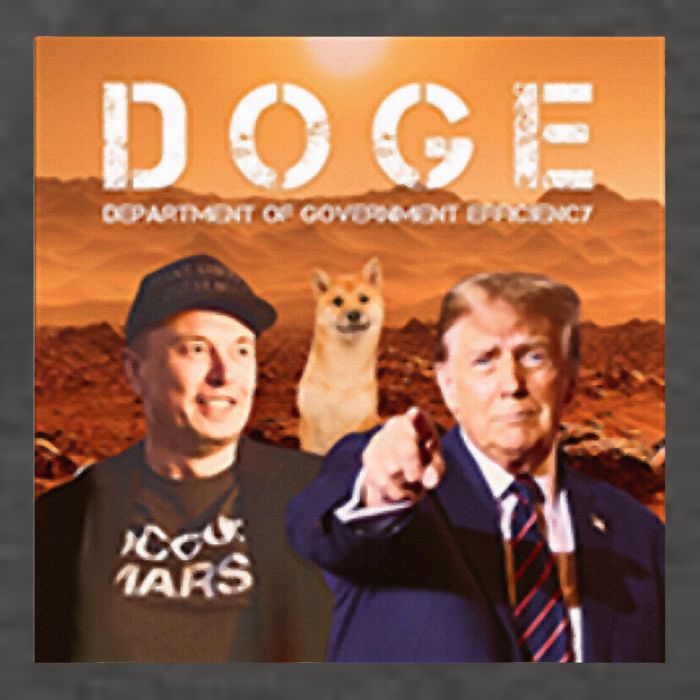 Trump Doge Vector Backpack