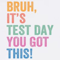 Test Day Teacher Bruh It's Test Day You Got This Funny  Garment-Dyed Sweatshirt