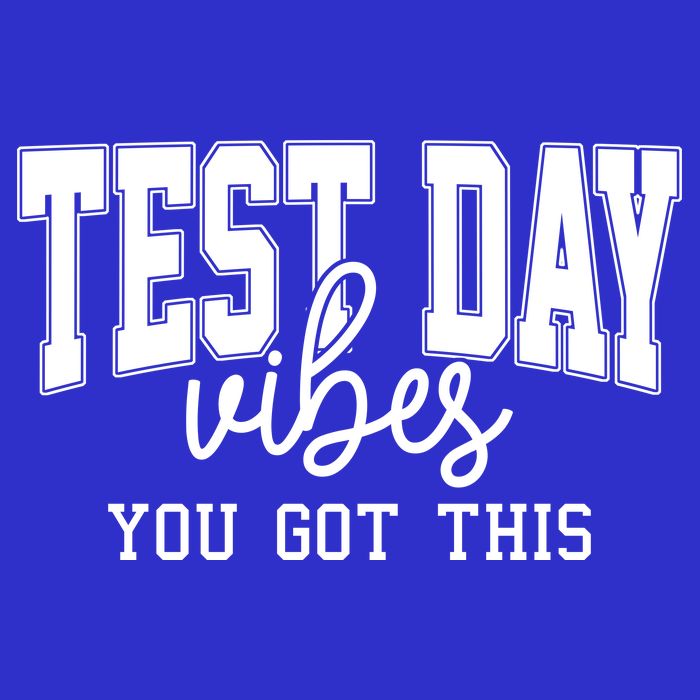 Test Day Vibes You Got This Premium T-Shirt