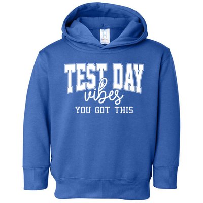 Test Day Vibes You Got This Toddler Hoodie