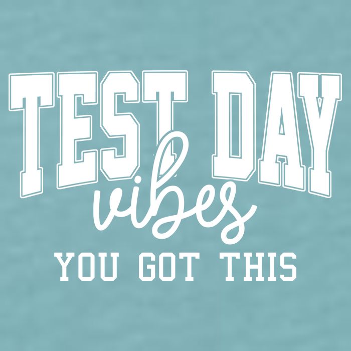 Test Day Vibes You Got This Sueded Cloud Jersey T-Shirt