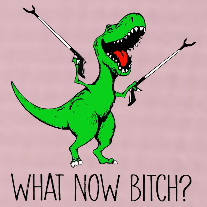 TRex Dinosaur What Now Bitch Funny Tyrannosaurus Rex TShirt 25L Jumbo Tote