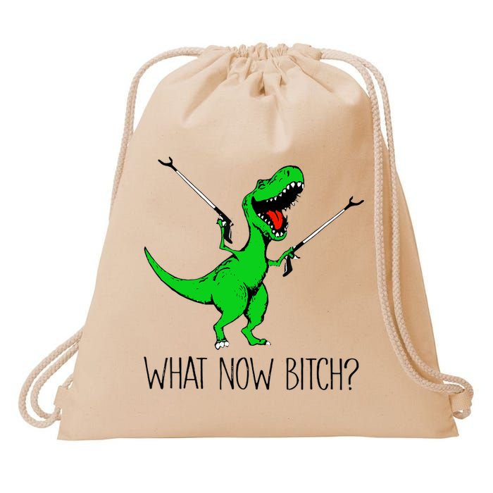 TRex Dinosaur What Now Bitch Funny Tyrannosaurus Rex TShirt Drawstring Bag