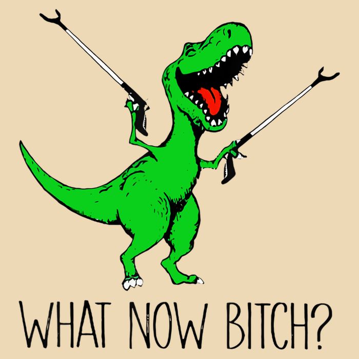 TRex Dinosaur What Now Bitch Funny Tyrannosaurus Rex TShirt Drawstring Bag