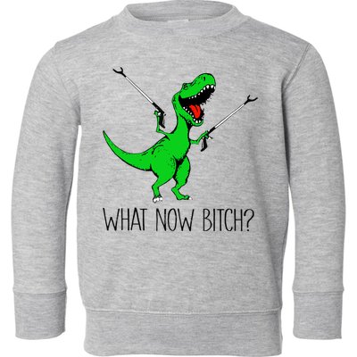 TRex Dinosaur What Now Bitch Funny Tyrannosaurus Rex TShirt Toddler Sweatshirt