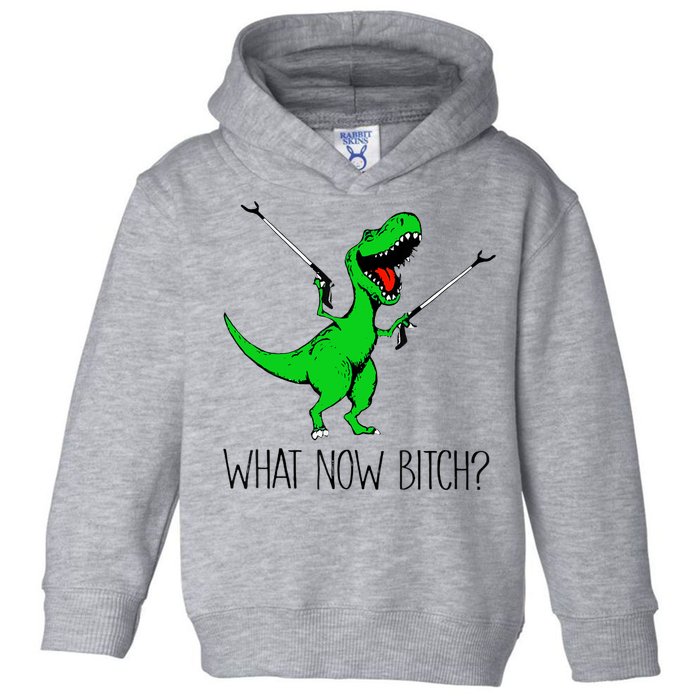 TRex Dinosaur What Now Bitch Funny Tyrannosaurus Rex TShirt Toddler Hoodie