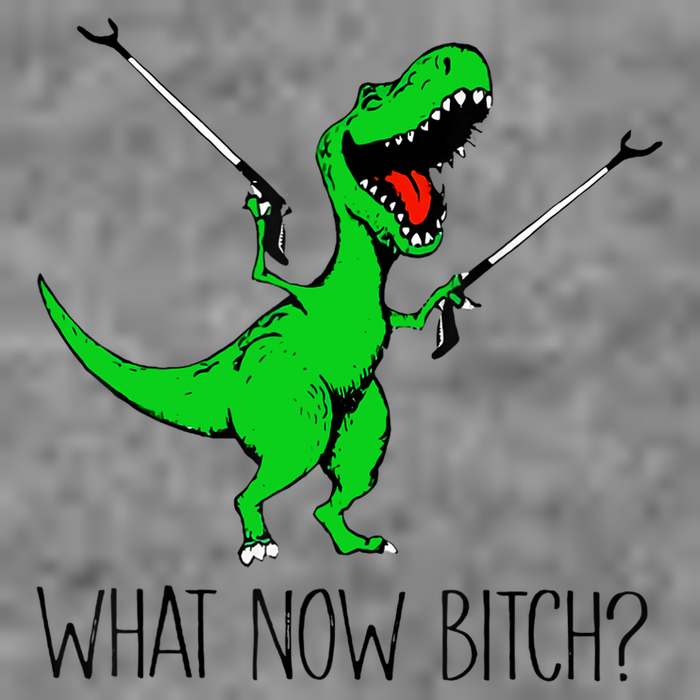 TRex Dinosaur What Now Bitch Funny Tyrannosaurus Rex TShirt Tall Hoodie