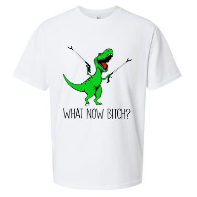 TRex Dinosaur What Now Bitch Funny Tyrannosaurus Rex TShirt Sueded Cloud Jersey T-Shirt