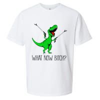 TRex Dinosaur What Now Bitch Funny Tyrannosaurus Rex TShirt Sueded Cloud Jersey T-Shirt
