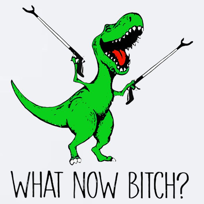 TRex Dinosaur What Now Bitch Funny Tyrannosaurus Rex TShirt Sueded Cloud Jersey T-Shirt