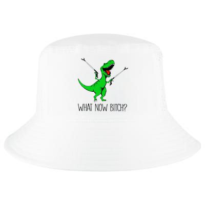 TRex Dinosaur What Now Bitch Funny Tyrannosaurus Rex TShirt Cool Comfort Performance Bucket Hat