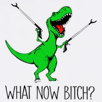 TRex Dinosaur What Now Bitch Funny Tyrannosaurus Rex TShirt Cool Comfort Performance Bucket Hat
