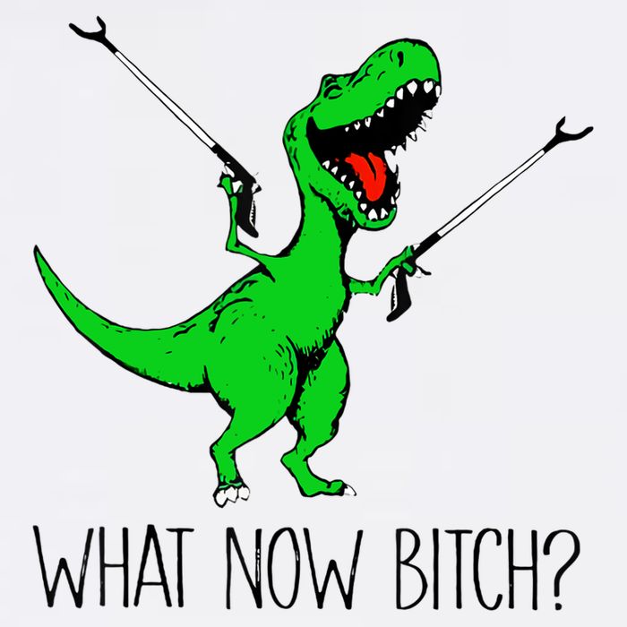 TRex Dinosaur What Now Bitch Funny Tyrannosaurus Rex TShirt Cool Comfort Performance Bucket Hat