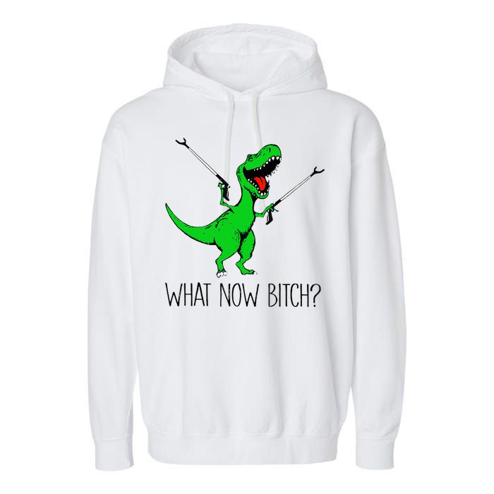 TRex Dinosaur What Now Bitch Funny Tyrannosaurus Rex TShirt Garment-Dyed Fleece Hoodie