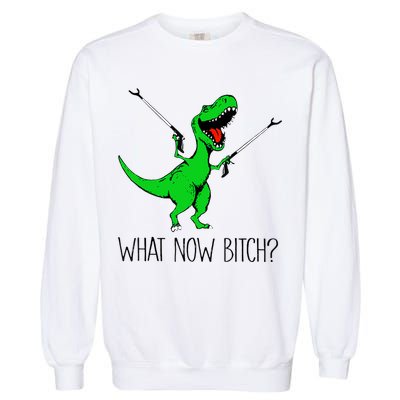 TRex Dinosaur What Now Bitch Funny Tyrannosaurus Rex TShirt Garment-Dyed Sweatshirt