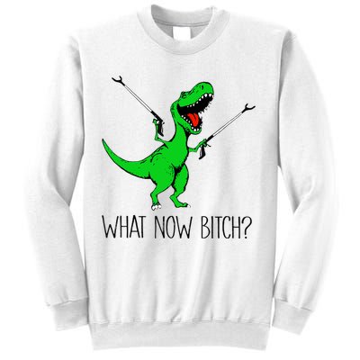 TRex Dinosaur What Now Bitch Funny Tyrannosaurus Rex TShirt Sweatshirt