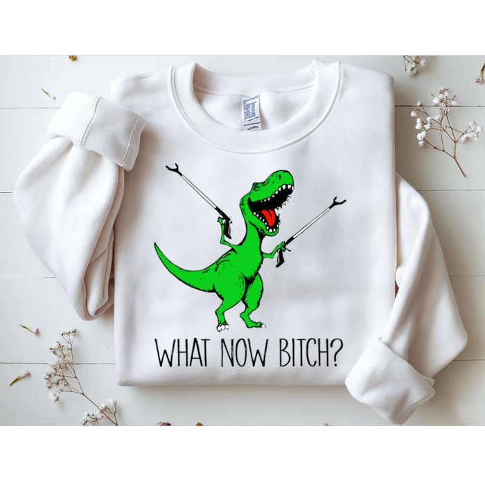TRex Dinosaur What Now Bitch Funny Tyrannosaurus Rex TShirt Sweatshirt