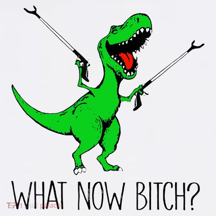 TRex Dinosaur What Now Bitch Funny Tyrannosaurus Rex TShirt 11oz C Handle Ceramic Mug