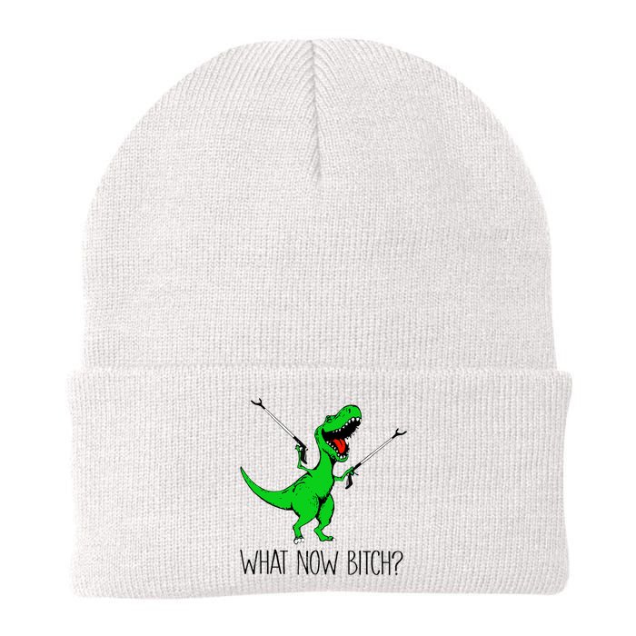 TRex Dinosaur What Now Bitch Funny Tyrannosaurus Rex TShirt Beanie